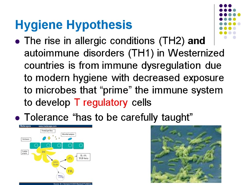 Hygiene Hypothesis  The rise in allergic conditions (TH2) and autoimmune disorders (TH1) in
